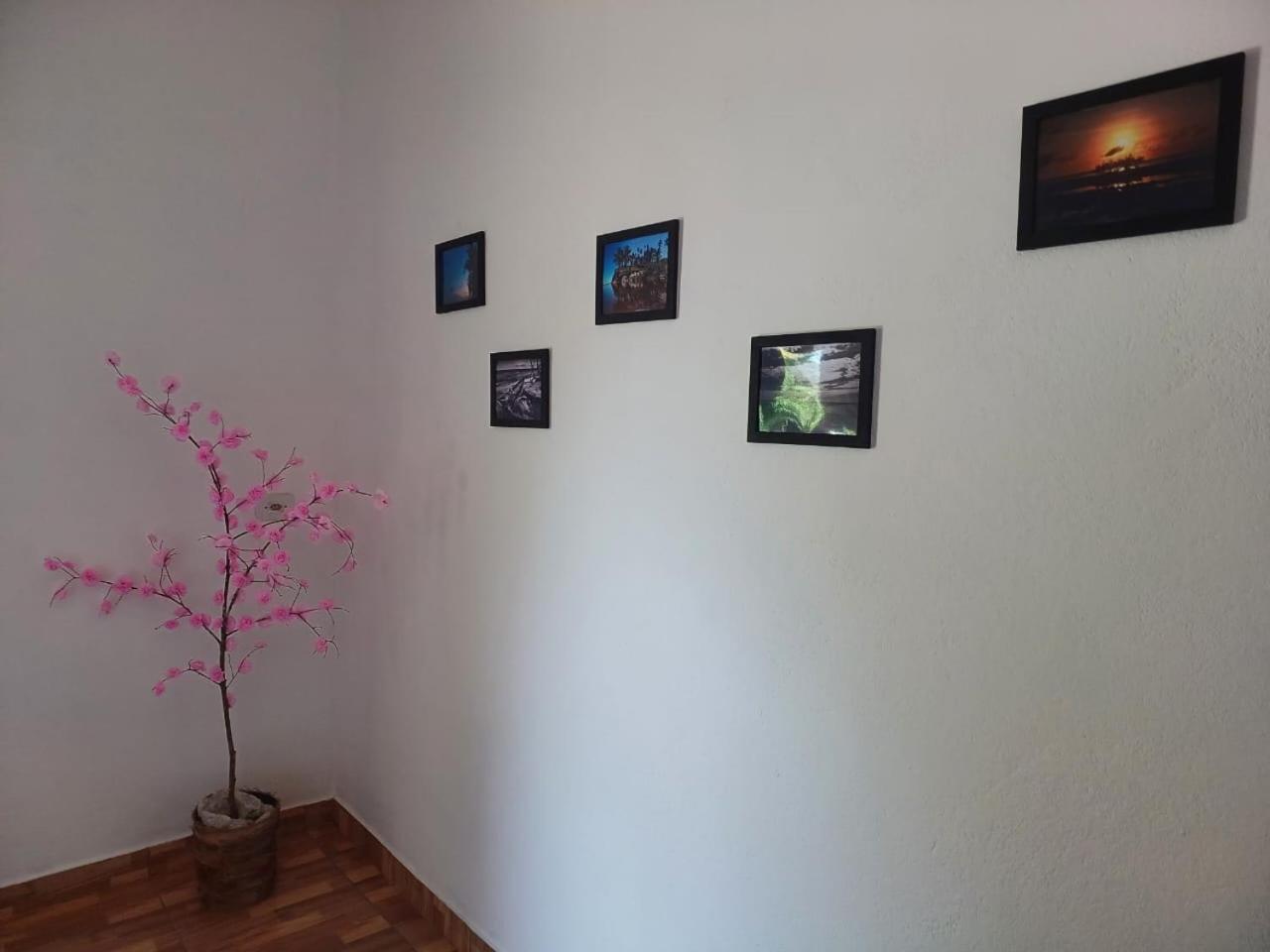 Villa Casa Jubarte Cumuruxatiba Esterno foto